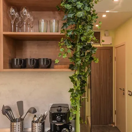 Cozy Jungle Oasis 1bd With Terrace In Center By Flat Mаnager Sofia